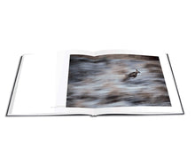 Load image into Gallery viewer, AHAE: Through My Window