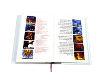 Load image into Gallery viewer, Haggadah