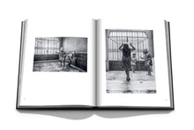 Load image into Gallery viewer, ROMA