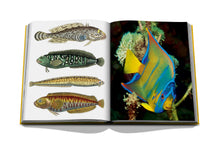 Load image into Gallery viewer, Norman's Cay