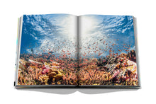 Load image into Gallery viewer, The Coral Triangle
