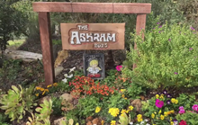 Load image into Gallery viewer, The Ashram: The Way We Eat
