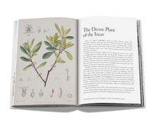 Load image into Gallery viewer, Cocaïn: History &amp; Culture
