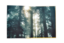 Load image into Gallery viewer, Trees in Focus

